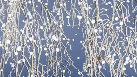 There are a lot of birch branches in inii on a frosty day. Snowfall 4k animation Stock Footage 255617287