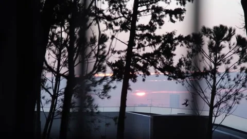 There are rising suns somewhere now Stock Footage 170224499