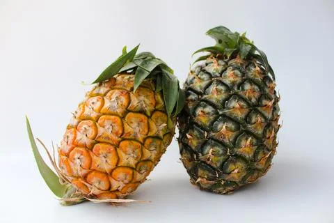 There are two pineapples on the white background with different color Stock Photos