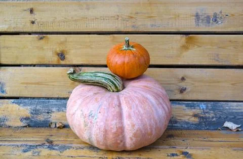 There are two pumpkins on the bench - a large one and a small one Foto stock