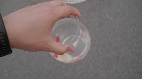 There are two red goldfish in the left hand holding the fish tank Stock Footage 109037770