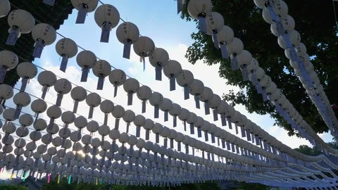 There are white lanterns to Buddha's offerings Stock Footage 85383891