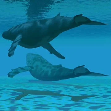 There be whales Stock Illustration