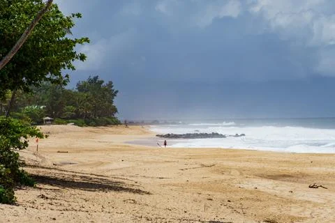 There is a beach with a tree in the foreground on a cloudy day Stock Photos