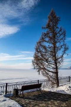 There is a bench sitting in the snow with a tree in the background Stock Photos