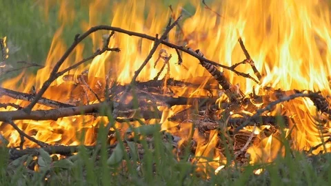 There is a big fire in the forest. Slow motion Video stock 91674822