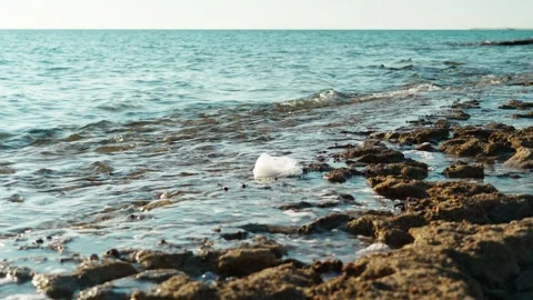 There is a cellophane bag on the beach. An environmental disaster. Vídeo Stock 341916288