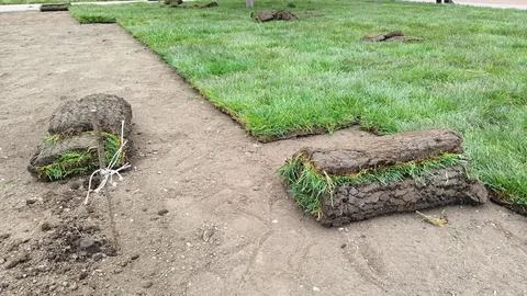 There is a collection of rolls of grass placed on top of a dirt field Stock Photos
