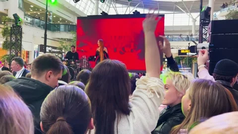 There is a crowd of young fans in front of the stage. Stock Footage 329139972
