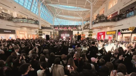 There is a crowd of young fans in front of the stage. Stock Footage 329140844
