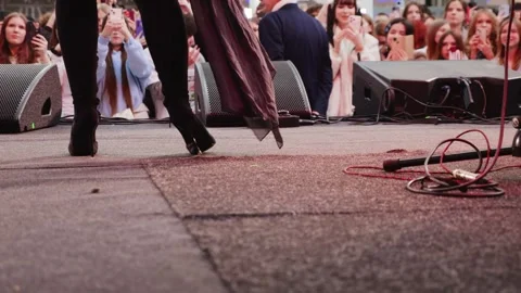 There is a crowd of young fans in front of the stage. Stock Footage 329141742