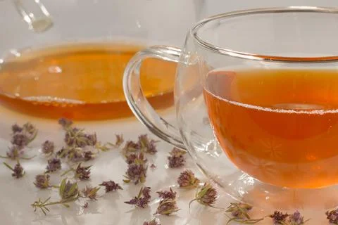 There is a cup of herbal tea with thyme on the table. Stock Photos