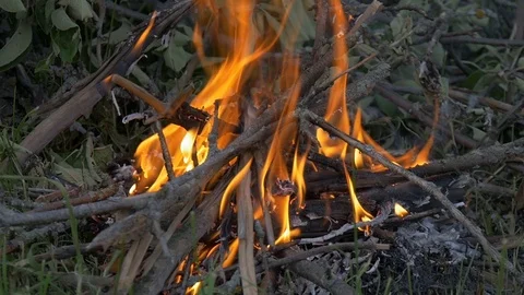 There is a fire in the forest. slow motion Video stock 91674680