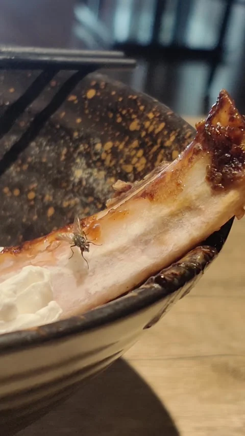 There is a fly crawling on the leftover pieces of food. 動画素材 316609428