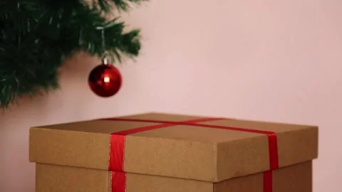 There is a gift box under the Christmas tree, and a puppy jumps out of it. 스톡 동영상 243062670