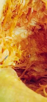 There is a half pumpkin Stock Photos