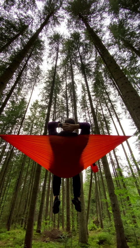 There is a happy man in a hammock in a forest having a relaxing time Stock Footage 221547139