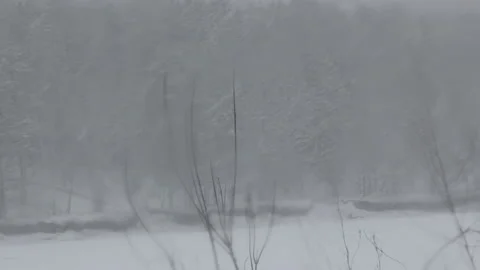 There is heavy snow against the background of the forest Stock Footage 152604634