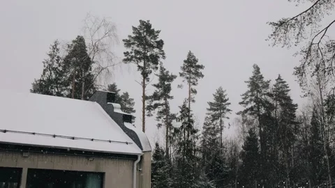 There is a house on the edge of the forest Stock Footage 313362594