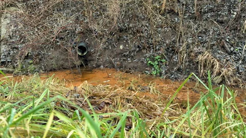 There is an issue with contaminated water flowing from a drainage pipe located Stock Footage 322756133