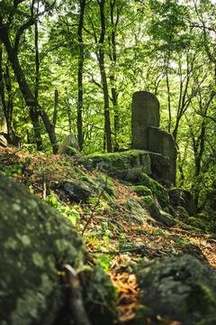 There is a large rock positioned right in the middle of a forest Stock Photos