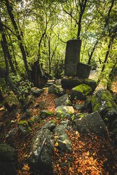 There is a large rock positioned right in the middle of a forest Stock Photos