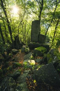 There is a large rock positioned right in the middle of a forest Stock Photos
