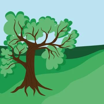 There is a lone oak tree on the plain. Illustrazione stock