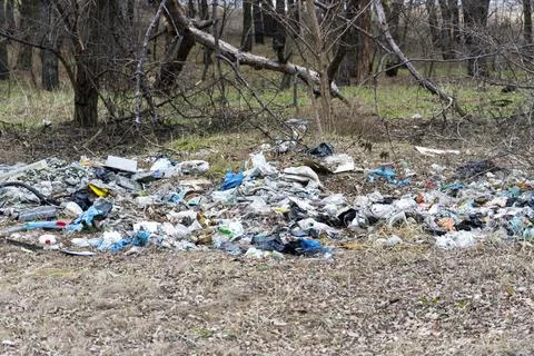 There is a lot of garbage in the forest. The concept of human Stock Photos