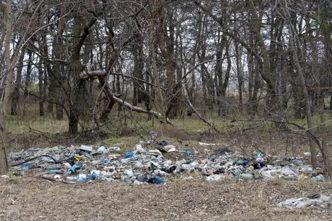 There is a lot of garbage in the forest. The concept of pollution Stock Photos