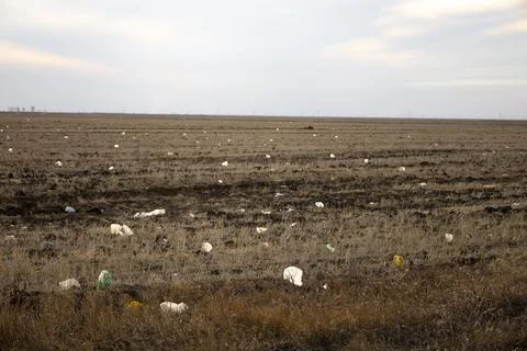 There is a lot of garbage in the sown fields, ecology. Stock Photos