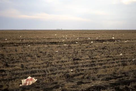 There is a lot of garbage in the sown fields, ecology. Stock Photos