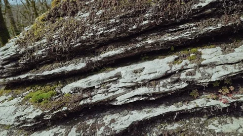There is the moss-covered rock formation in a close-up 스톡 동영상 113668499