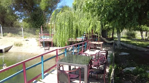 There is no one in the cafe by the lake, only swans swimming in the lake. Stock Footage 224577174