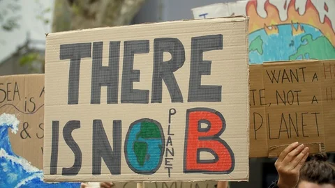 There is not Planet B. Posters at Global Climate Strike in Barcelona Stock Footage 116813251