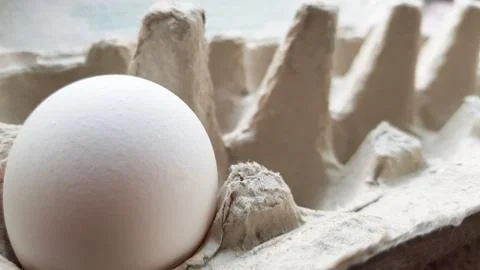 There is only one egg left - a side view. Lonely egg Stock Photos