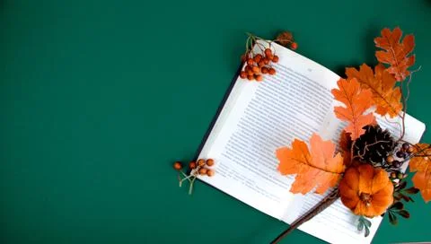 There is an open book on a green background with an autumn bouquet on it. Stock Photos
