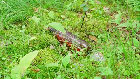 There is a plastic bottle on the moss-covered forest floor. Stock Footage 280170167