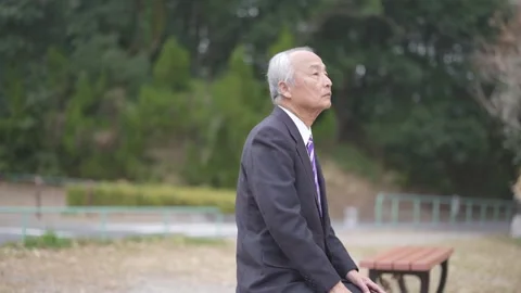 There is plenty of greenery in the spring noon park in Japan. A Japanese man Video stock 307379830