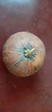 There is a pumpkin on the red floor Stock Photos