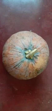 There is a pumpkin on the red floor Stock-Fotos