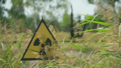 There is a red forest in Chernobyl. Stock Footage 231478622