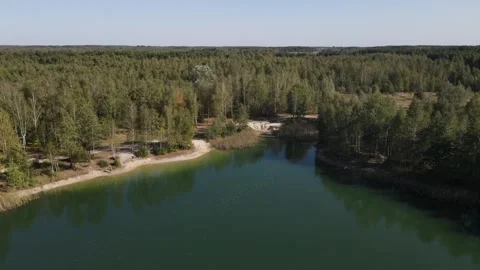 There is a sandy shore around the river. Trees grow densely nearby. Stock Footage 144470283