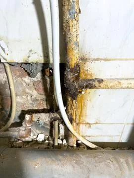 There is a significant problem of severe wood rot located in the plumbing a.. Stock Photos