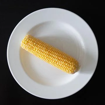 There is a single corn on the cob placed on a clean white plate Stock Photos