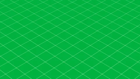 There is something wrong, nothing to see only grid on white background 스톡 동영상 347298207