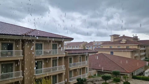 There is a tropical summer rain, large drops Video stock 290188202