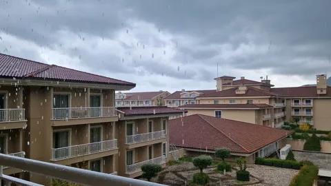 There is a tropical summer rain, large drops Stock Footage 290188247