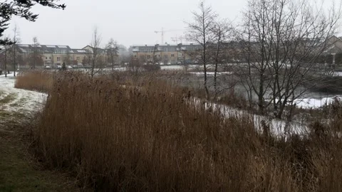 There was a little bit of snow in Dublin. Stock Footage 286160399