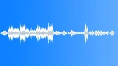 There Were No Others (orchestral, expressive, emotional, dramatic, haunting) Stock Music